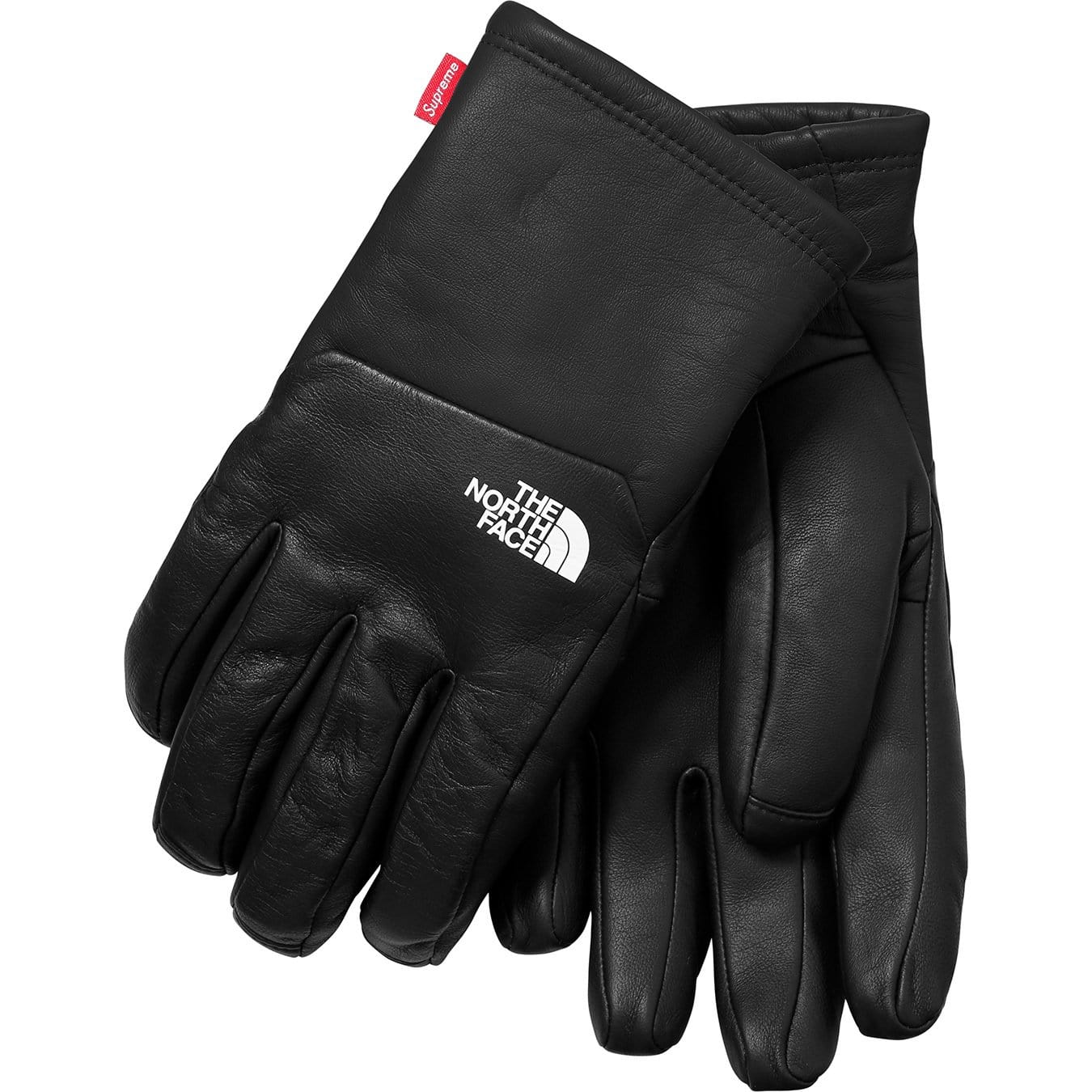 Supreme-The North Face Leather Gloves - Black — Front View